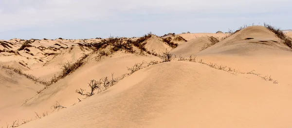 Det Vackra Landskapet Namib Naukluft Nationalpark Namibia — Stockfoto