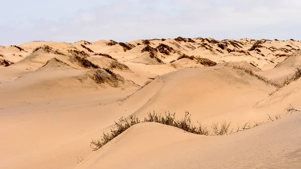 Det Vackra Landskapet Namib Naukluft Nationalpark Namibia — Stockfoto