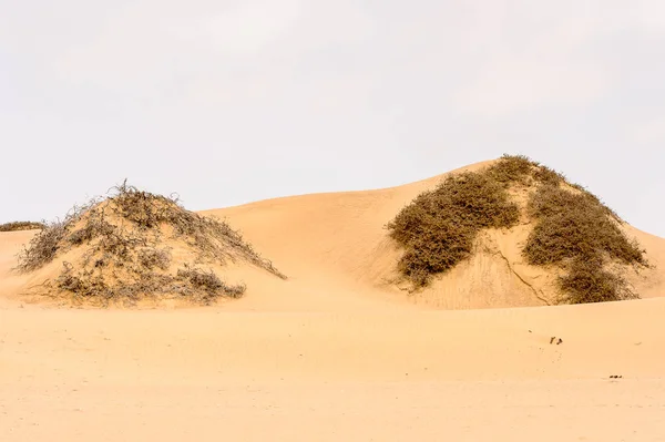 Det Vackra Landskapet Namib Naukluft Nationalpark Namibia — Stockfoto