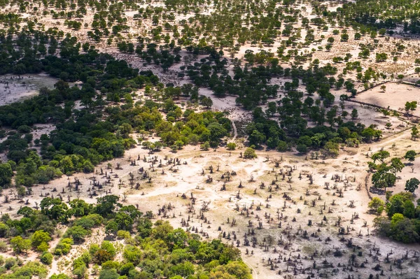 Veduta Aerea Della Natura Del Botswana Africa — Foto Stock