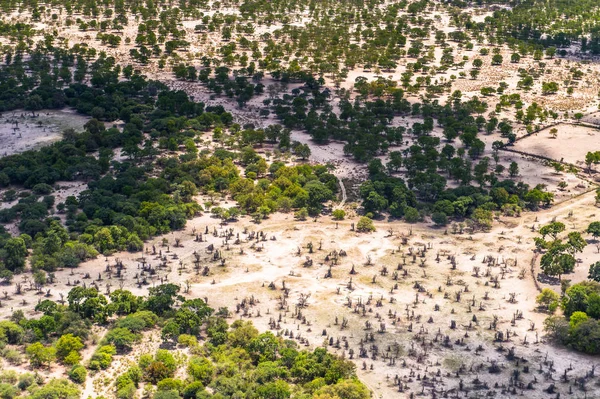 Vue Aérienne Nature Botswana Afrique — Photo