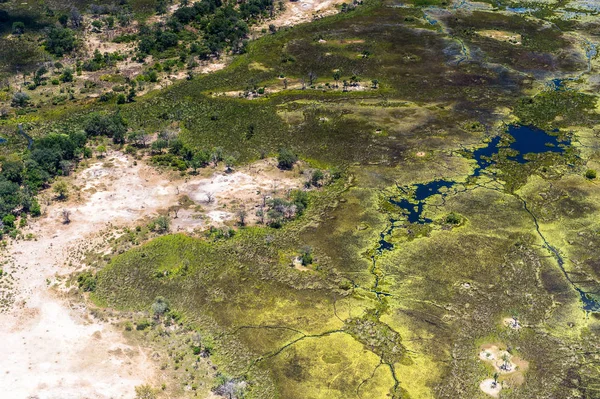Bella Vista Aerea Del Delta Dell Okavango Okavango Grassland Una — Foto Stock
