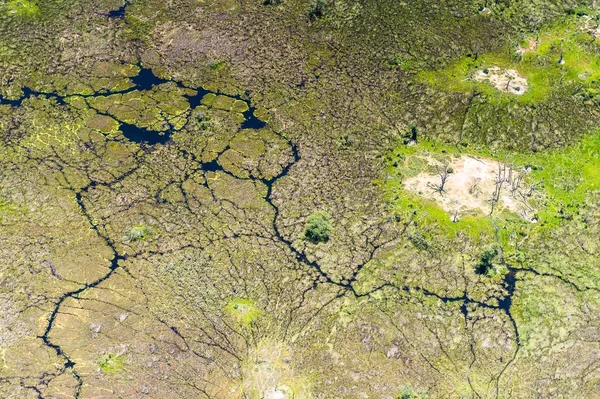 Beautiful Aerial View Okavango Delta Okavango Grassland One Seven Natural — Stock Photo, Image