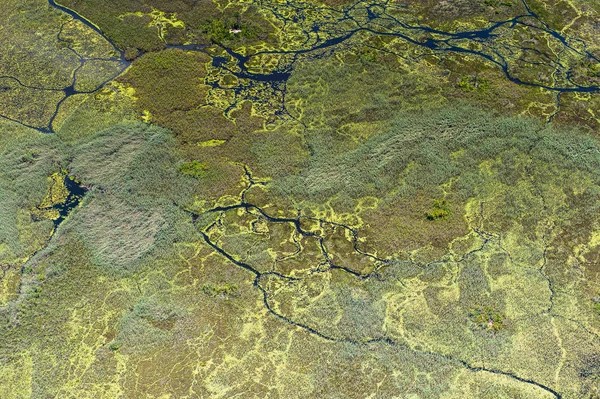 Luchtfoto Panoramisch Uitzicht Okavango Delta Okavango Grasland Een Van Zeven — Stockfoto