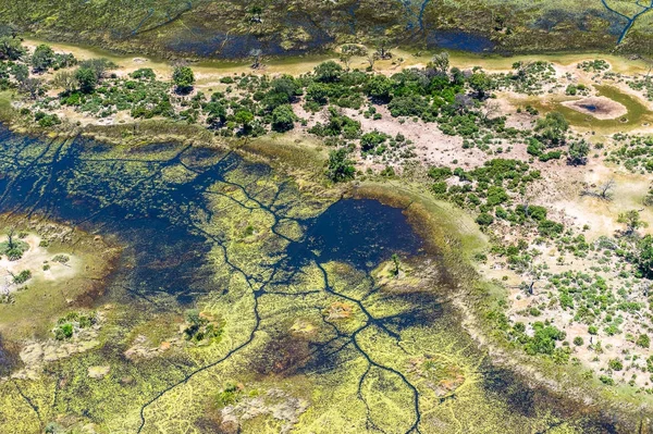 stock image Aerial panoramic view of the Okavango Delta (Okavango Grassland), One of the  Seven Natural Wonders of Africa, Botswana