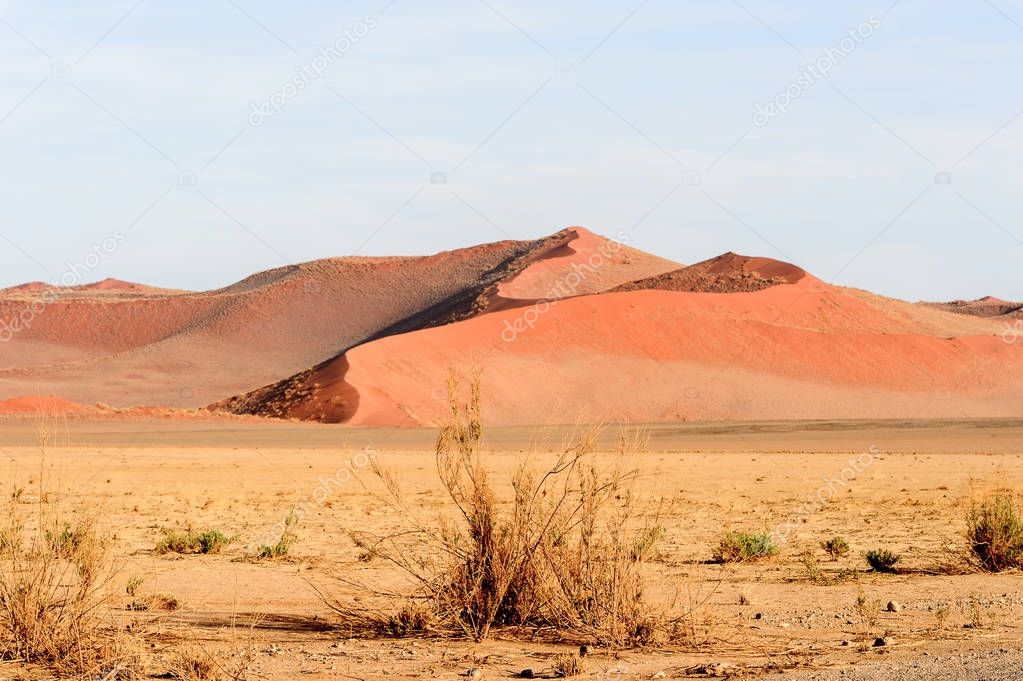 Namibia desert, Sossuvlei, Africa.