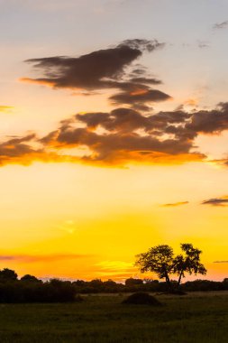 Okavango Deltası (Okavango Çayırı), Afrika'nın Yedi Doğa Harikasından Biri, Botsvana üzerinde güzel gün batımı