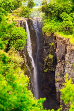 Victoria Şelalesi, Zambezi Nehri, Zimbabve ve Zambiya'nın güzel manzarası
