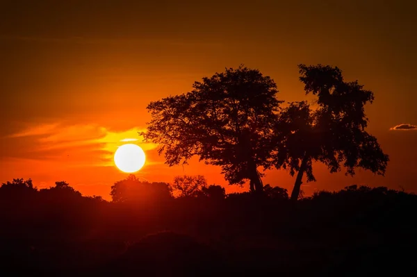 Piękny Zachód Słońca Nad Delta Okavango Okavango Grassland Jeden Siedmiu — Zdjęcie stockowe