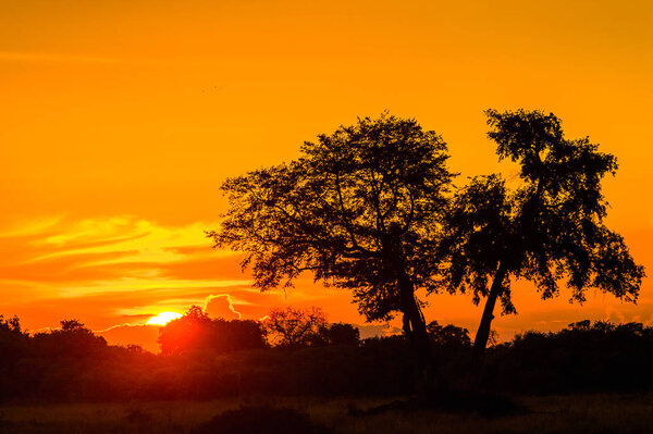 Beautiful sunset over the Okavango Delta (Okavango Grassland), One of the Seven Natural Wonders of Africa, Botswana