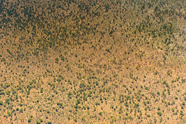 Vista Aérea Botsuana — Fotografia de Stock