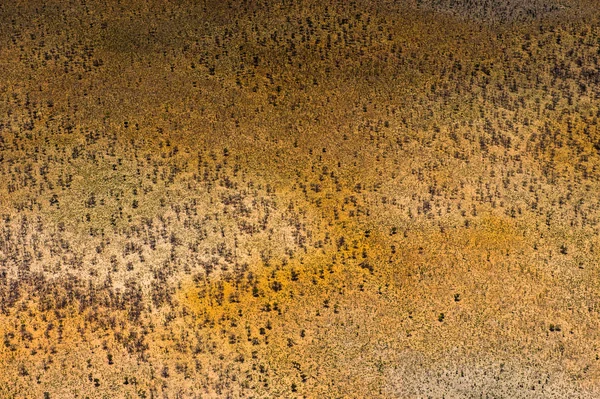 Aerial View Botswana — Stock Photo, Image