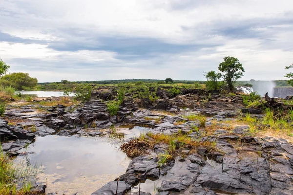 Zambezi Nehri Livingstone Adası Skoç Explorer David Livingstone Sonra Adlı — Stok fotoğraf