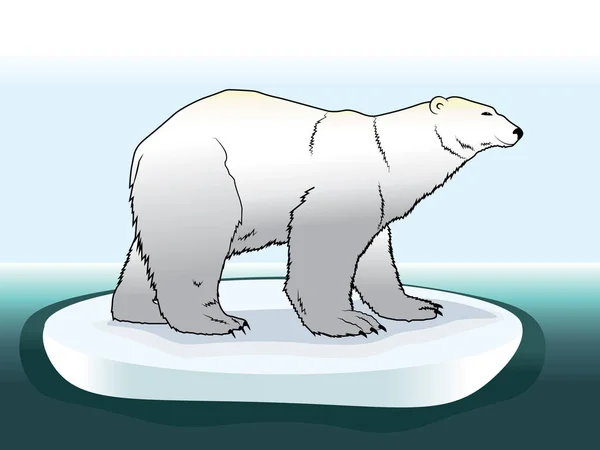 Εικονογράφηση Του Ένα Χρωματιστό Πολική Αρκούδα Στον Πάγο Στην Αρκτική — Διανυσματικό Αρχείο