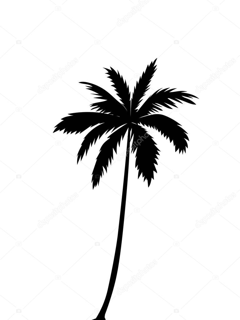 Isolated single black vector silhouette of a palm tree