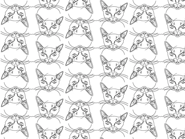 Vektorové Ilustrace Obrysy Černé Kočky Bílém Pozadí Vzorek — Stockový vektor