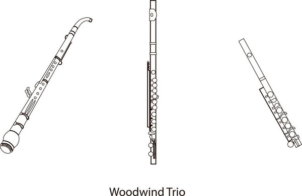 Line hand-drawn musical instruments, the contour of English horn, flute and piccolo for a template, or art school dictionary illustration 