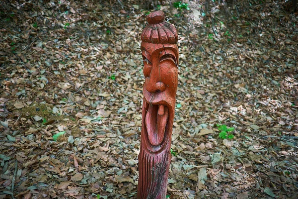 Mât Totémique Masculin Traditionnel Coréen Bois Dans Lac Sanjeong Pocheon — Photo