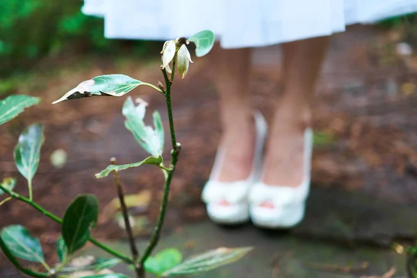Macro shot of a plant with a woman in the background wearing white wedding dress and white heels slightly out-focused in Saryuni Forest in Jeju Island, South Korea.