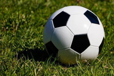 Klasik futbol topu arka plan yeşil çim üzerinde. Parlak güneş parlıyor, çimlere bir futbol topu gölgesi