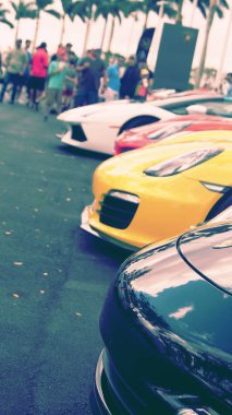 Tüm yarış yarış için astar. 