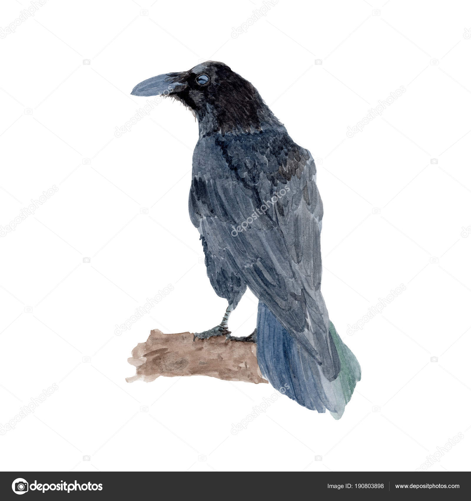 Hd限定かわいい カラス イラスト フリー ディズニー画像のすべて