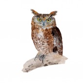 Картина, постер, плакат, фотообои "owl watercolor painting isolated. watercolor hand painted cute animal illustrations.", артикул 190806356