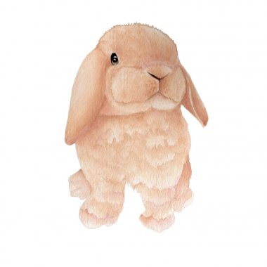 Bunny suluboya resim izole. Sevimli hayvan çizimler suluboya el boyalı.