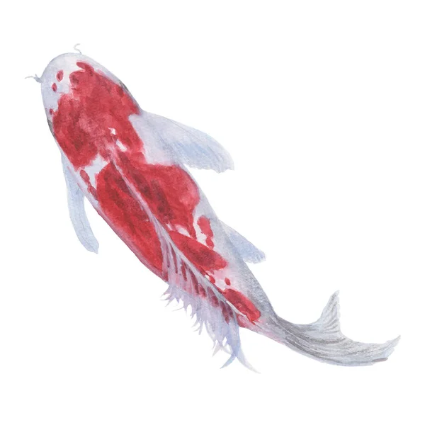 쓰레기 물고기 손으로 그린된 스케치와 수채화 일러스트 수채화 귀여운 쓰레기 — 스톡 사진