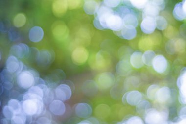 Ağaçların bokeh arkaplanı 