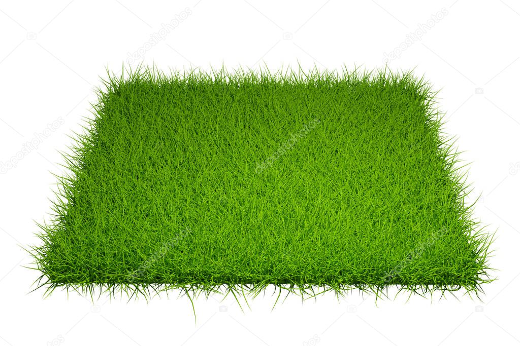 grass field isolated on white background with clipping path, 3d render