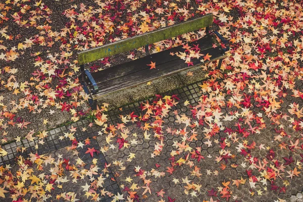 Fallen leaves on a bench in the park in autumn — Stock Photo, Image