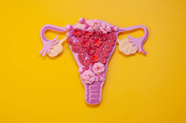 The womens reproductive system. The concept of endometriosis of the uterus. 