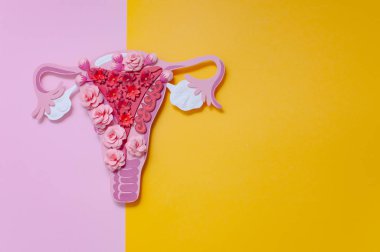 Endometriyozis kavramı. Kadınların üreme sistemi, metin için alanı kopyala