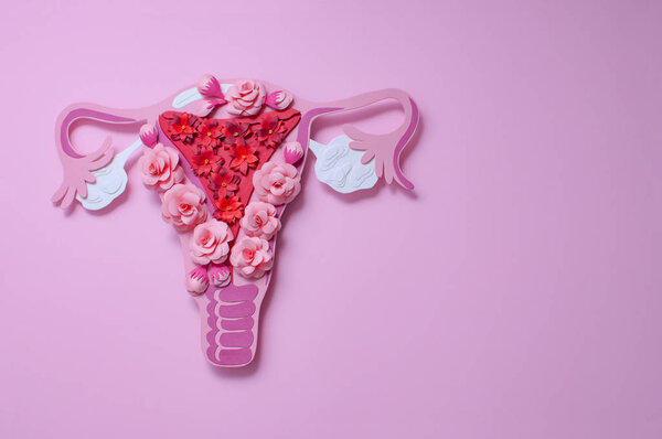 The womens reproductive system. The concept of womens health. Copyspace