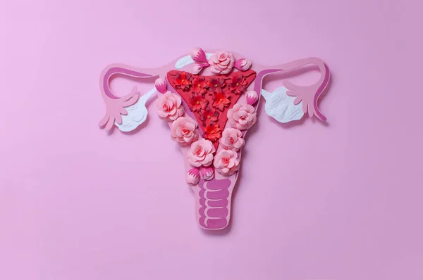 Sistema Reprodutivo Feminino Útero Ovários Conceito Arte Saúde Reprodutiva Feminina — Fotografia de Stock