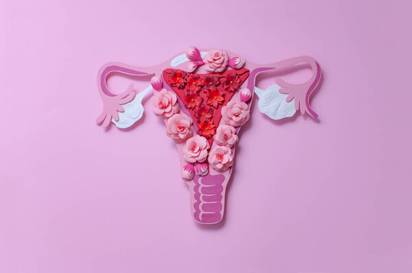 Women's reproductive system, uterus and ovaries. Art concept of female reproductive health. Paper flowers, flat lay