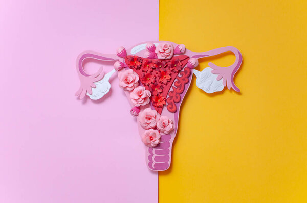 The concept of endometriosis of the uterus. Diseases of the female reproductive system. Health and disease are a beautiful art concept made of paper. 