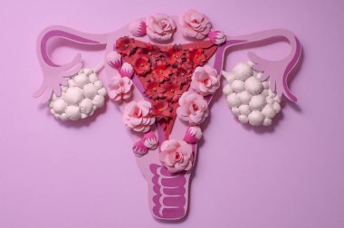 Concept polycystic ovary syndrome, PCOS. Paper art, awareness of PCOS, image of the female reproductive system clipart