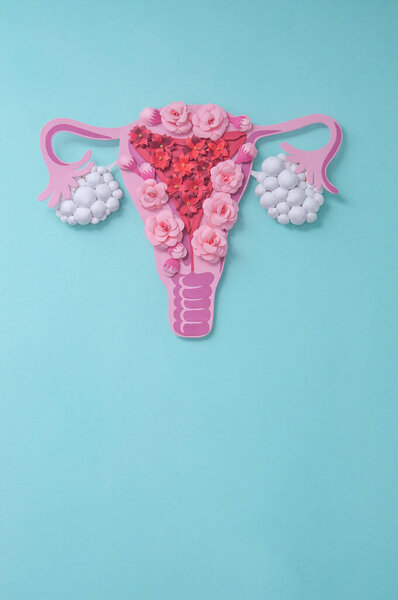 Concept polycystic ovary syndrome, PCOS. Paper art, awareness of PCOS, vertical image of the female reproductive system, copy space for text