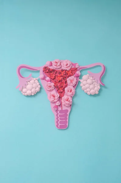 多囊性卵巢综合征 Pcos 纸面艺术 对Pcos的认识 女性生殖系统的垂直图像 文本的复制空间 — 图库照片