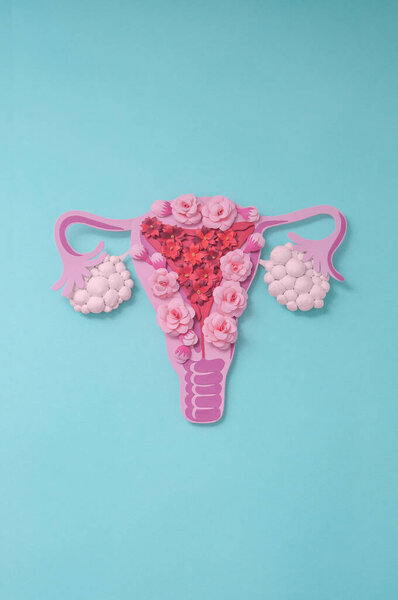 Concept polycystic ovary syndrome, PCOS. Paper art, awareness of PCOS, vertical image of the female reproductive system, copy space for text.