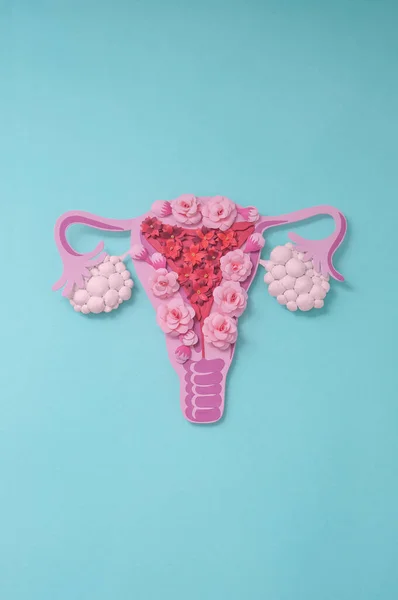 Concept Polycystic Ovary Syndrome Pcos Paper Art Awareness Pcos Vertical Stock Photo