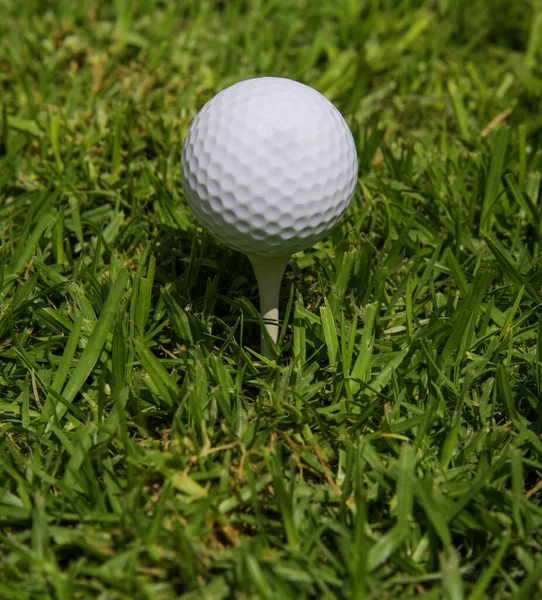 Une Balle Golf Sur Tee Sur Une Pelouse Verte Luxuriante — Photo