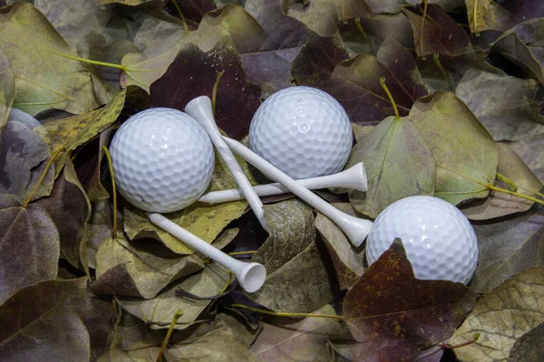 Three Golf Balls Tees Autumn Leaves Background — Stock Photo, Image