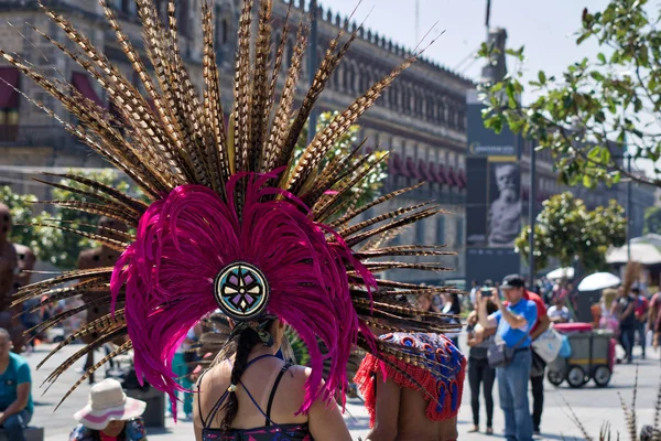 Rosa mexikanische Feder — Stockfoto