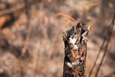 Stump, söndürülmesi güç ateş ateş