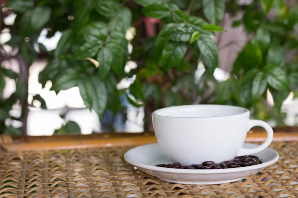 Taza de café en la mesa en la cafetería — Foto de Stock