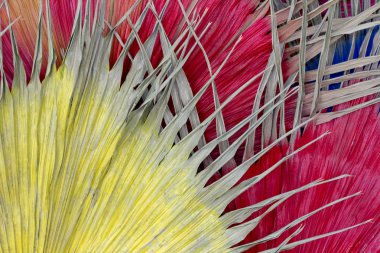 Kurutulmuş yaprak sarı kırmızı ve mavi için arka plan veya duvar kağıdı.