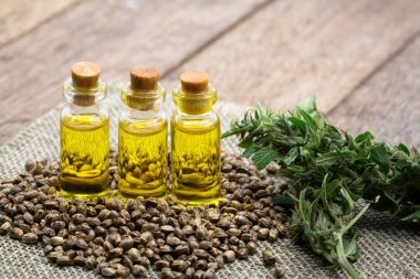 Kenevir tohumu ve Cbd yağı kenevir özü, yeşil kenevir yaprağı bak